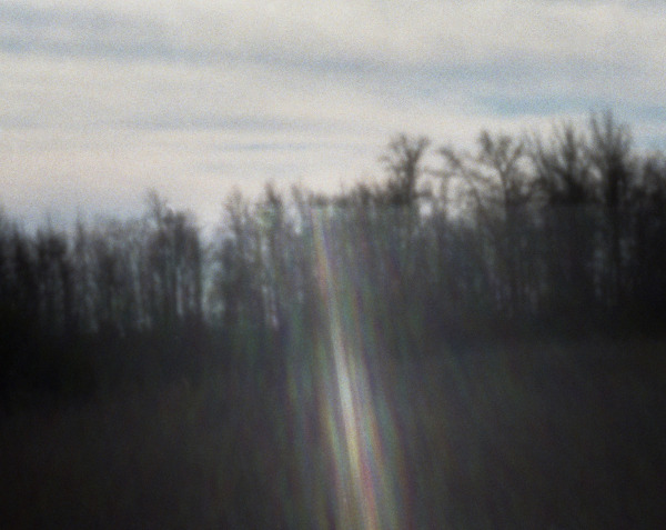 Light at Bombay Hook, 2016