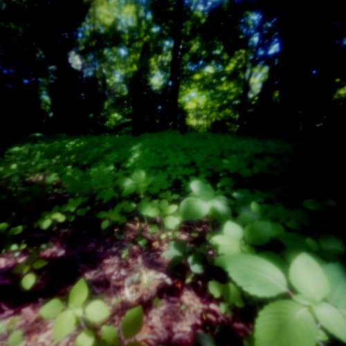 green-shadows, 2011